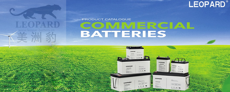 LEOPARD美洲豹蓄电池-美洲豹电池官方销售处